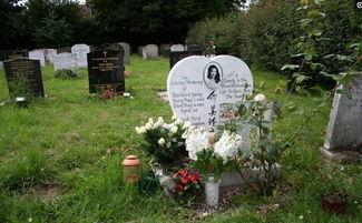 去世明星墓地,致敬逝世明星的静谧安息之地