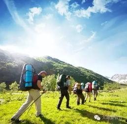 娱乐吃瓜酱爬山,娱乐吃瓜酱带你领略爬山乐趣