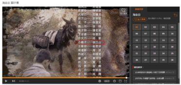 淘金谷演员表,实力派演员齐聚，演绎传奇人生